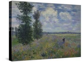 Poppies (Near Argenteuil) 1873-Claude Monet-Stretched Canvas