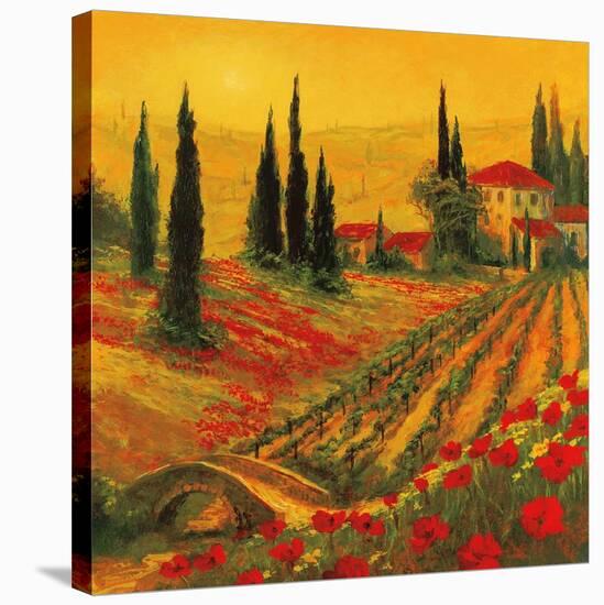 Poppies of Toscano I-Art Fronckowiak-Stretched Canvas