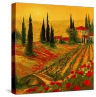 Poppies of Toscano I-Art Fronckowiak-Stretched Canvas