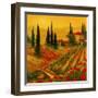 Poppies of Toscano I-Art Fronckowiak-Framed Art Print