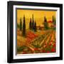 Poppies of Toscano I-Art Fronckowiak-Framed Art Print