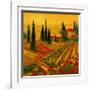 Poppies of Toscano I-Art Fronckowiak-Framed Art Print