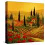 Poppies of Toscano II-Art Fronckowiak-Stretched Canvas