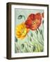 Poppies, Oil Painting on Canvas-Valenty-Framed Art Print