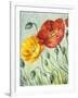 Poppies, Oil Painting on Canvas-Valenty-Framed Art Print