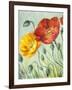 Poppies, Oil Painting on Canvas-Valenty-Framed Art Print