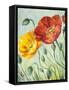 Poppies, Oil Painting on Canvas-Valenty-Framed Stretched Canvas