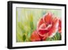 Poppies, Oil Painting on Canvas-Valenty-Framed Art Print