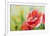 Poppies, Oil Painting on Canvas-Valenty-Framed Art Print