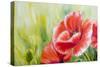 Poppies, Oil Painting on Canvas-Valenty-Stretched Canvas