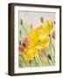 Poppies, Oil Painting on Canvas-Valenty-Framed Art Print