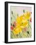 Poppies, Oil Painting on Canvas-Valenty-Framed Art Print