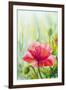 Poppies, Oil Painting on Canvas-Valenty-Framed Art Print