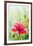 Poppies, Oil Painting on Canvas-Valenty-Framed Art Print