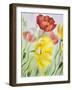 Poppies, Oil Painting on Canvas-Valenty-Framed Art Print