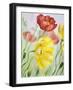 Poppies, Oil Painting on Canvas-Valenty-Framed Art Print