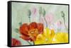 Poppies, Oil Painting on Canvas-Valenty-Framed Stretched Canvas