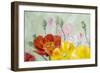 Poppies, Oil Painting on Canvas-Valenty-Framed Art Print