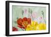 Poppies, Oil Painting on Canvas-Valenty-Framed Art Print