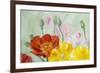 Poppies, Oil Painting on Canvas-Valenty-Framed Art Print