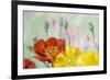 Poppies, Oil Painting on Canvas-Valenty-Framed Art Print