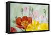 Poppies, Oil Painting on Canvas-Valenty-Framed Stretched Canvas