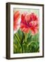 Poppies, Oil Painting on Canvas-Valenty-Framed Art Print