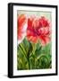 Poppies, Oil Painting on Canvas-Valenty-Framed Art Print