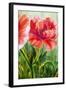 Poppies, Oil Painting on Canvas-Valenty-Framed Art Print