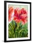 Poppies, Oil Painting on Canvas-Valenty-Framed Art Print