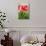 Poppies, Oil Painting on Canvas-Valenty-Mounted Art Print displayed on a wall