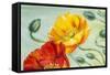 Poppies, Oil Painting on Canvas-Valenty-Framed Stretched Canvas