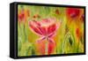 Poppies, Oil Painting on Canvas-Valenty-Framed Stretched Canvas