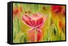 Poppies, Oil Painting on Canvas-Valenty-Framed Stretched Canvas