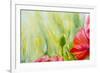 Poppies, Oil Painting on Canvas-Valenty-Framed Art Print