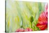 Poppies, Oil Painting on Canvas-Valenty-Stretched Canvas