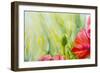 Poppies, Oil Painting on Canvas-Valenty-Framed Art Print