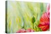 Poppies, Oil Painting on Canvas-Valenty-Stretched Canvas