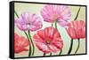 Poppies, Oil Painting on Canvas-Valenty-Framed Stretched Canvas