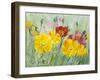 Poppies, Oil Painting on Canvas-Valenty-Framed Art Print