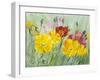 Poppies, Oil Painting on Canvas-Valenty-Framed Art Print