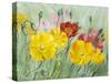 Poppies, Oil Painting on Canvas-Valenty-Stretched Canvas