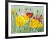 Poppies, Oil Painting on Canvas-Valenty-Framed Art Print