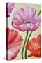 Poppies, Oil Painting on Canvas-Valenty-Stretched Canvas