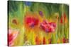 Poppies, Oil Painting on Canvas-Valenty-Stretched Canvas