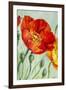 Poppies, Oil Painting on Canvas-Valenty-Framed Art Print