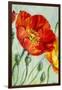 Poppies, Oil Painting on Canvas-Valenty-Framed Art Print