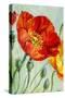 Poppies, Oil Painting on Canvas-Valenty-Stretched Canvas