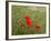 Poppies on Flanders Fields-Magda Indigo-Framed Photographic Print