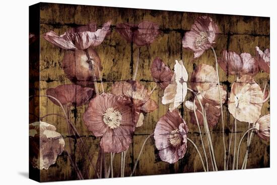 Poppies on Gold-John Seba-Stretched Canvas